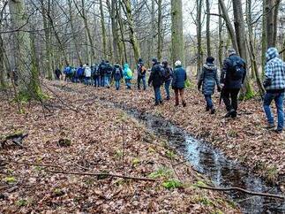 Grenzg&auml;nger am Gro&szlig;langheimer Dreil&auml;ndereck