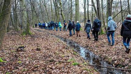 Grenzg&auml;nger am Gro&szlig;langheimer Dreil&auml;ndereck