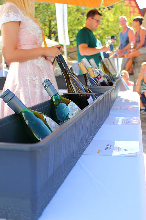 Mainschleifen-Weintasting