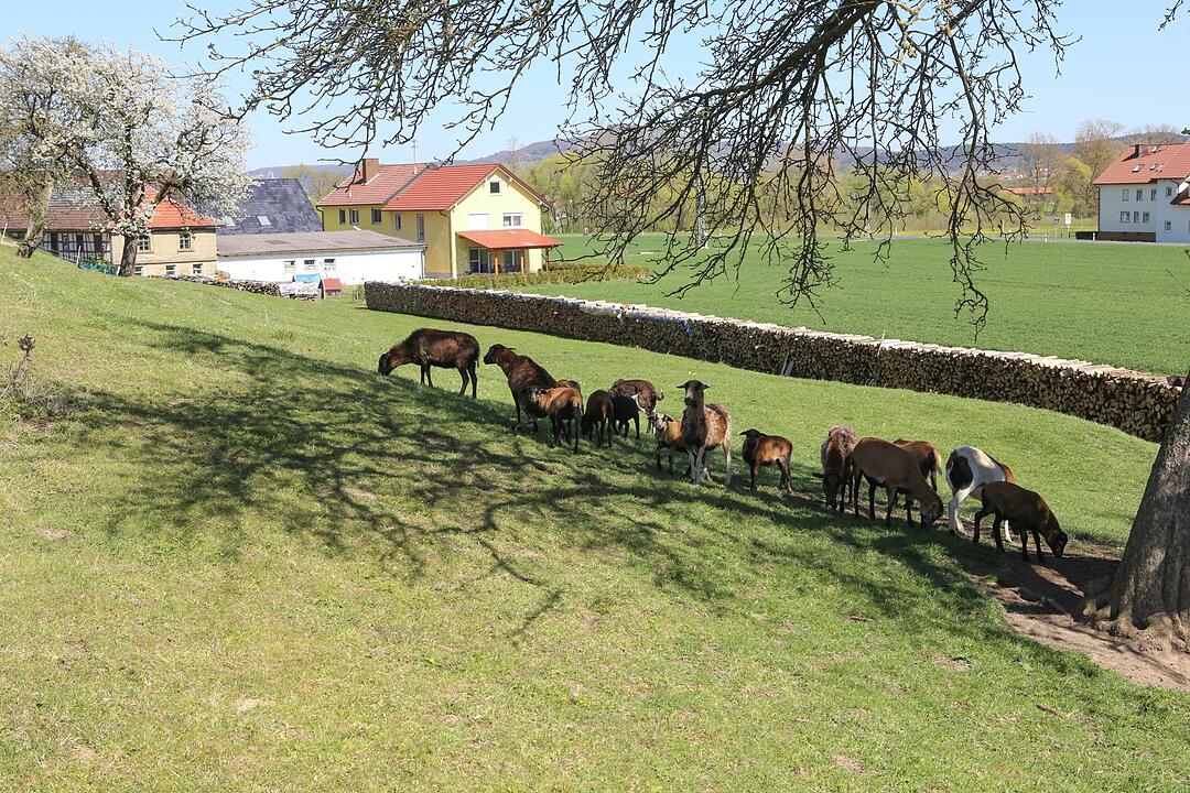 D?ringstadt im Landkreis Lichtenfels; Foto: Barbara Herbst