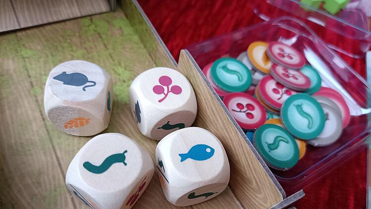Spiele-Test "Flügelschlag": So genial ist das Kennerspiel des Jahres 2019