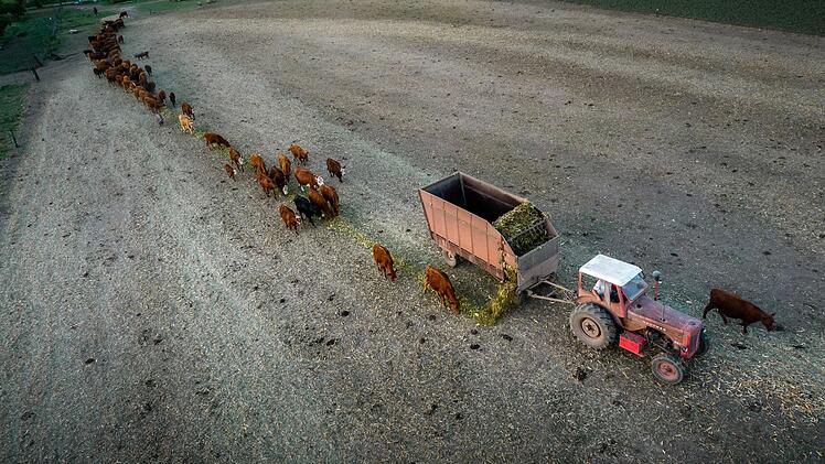 D&uuml;rre in Argentinien