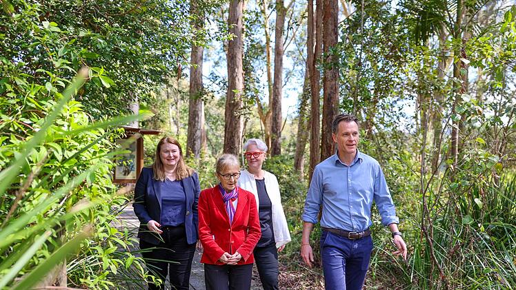 Großes Koala-Nationalparkprojekt in Australien