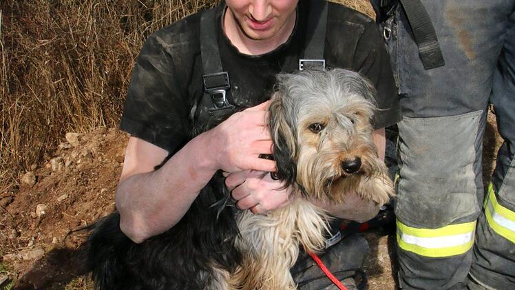 Endlich kann Manuel Kraus den jüngeren Hund, den er so lange zu retten versuchte, in seine Arme schließen und kraulen.