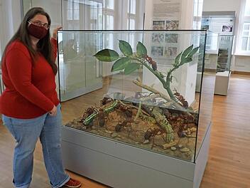 Museumspädagogin Iris Oelmann freut sich auf Interessierte.  Foto: Naturkunde-Museum