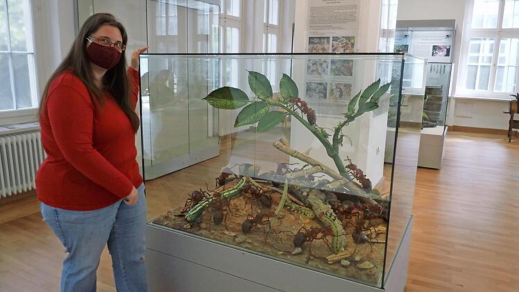 Museumspädagogin Iris Oelmann freut sich auf Interessierte.  Foto: Naturkunde-Museum