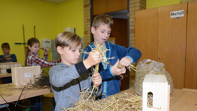 Impressionen vom Nisthilfenbau in der Melkendorfer Grundschule Dagmar Besand