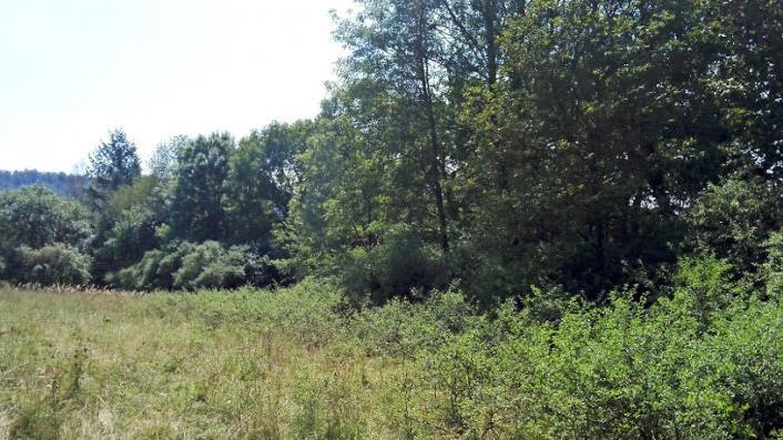 Die ehemalige Hecke am Rand der Streuobstwiese hinter K&ouml;nigsberg  Foto: Lukas Bandorf/Naturpark Ha&szlig;berge