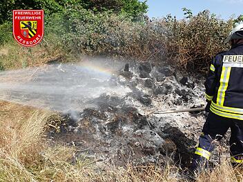 Brand auf Gartengrundstück bei Heßdorf (Landkreis Erlangen-Höchstadt) am Samstagmorgen (18. Juni 2022)