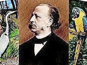 33 Vogelarten bev&ouml;lkern die B&uuml;cherwelt Fontanes, des gro&szlig;en Erz&auml;hlers aus der Mark Brandenburg. Foto: quartus-Verlag