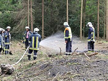Die Feuerwehr spritzte zur Sicherheit noch Wasser auf die Feuerstelle, an der Reisig und Käferholz verschürt worden waren. Foto: Gerd Klemenz