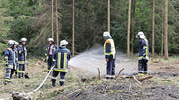 Die Feuerwehr spritzte zur Sicherheit noch Wasser auf die Feuerstelle, an der Reisig und Käferholz verschürt worden waren. Foto: Gerd Klemenz