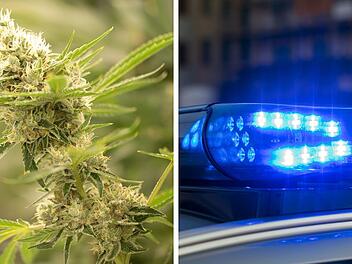 Mann betreibt Aufzuchtanlage f&uuml;r Marihuana