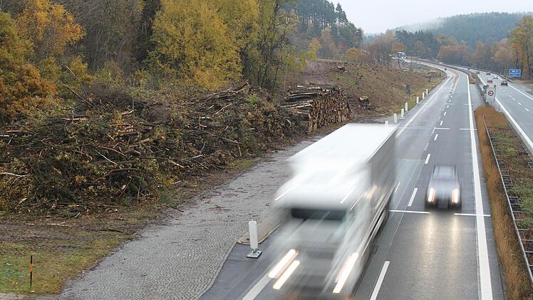 Das Holz wird neben der Autobahn gelagert.