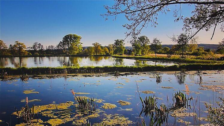 Der Karnbaum Weiher ein kleines Naherholungsgebiet.Petra Sitzmann