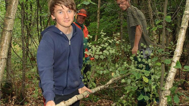 Als einer der jüngsten Burschenschaftler zieht Tom Durchholz ein Birkenstämmchen aus dem Wald.