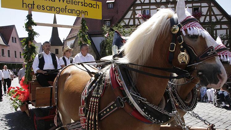 Foto: Josef Hofbauer