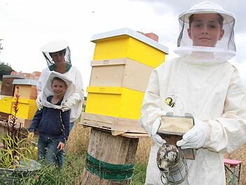 Julian Wehner aus Wartmannsroth weiß, was seine Bienen wollen. Durch einen Zufall hat der Neunjährige heute ein besonders süßes Hobby.  Foto: Carmen Schmitt
