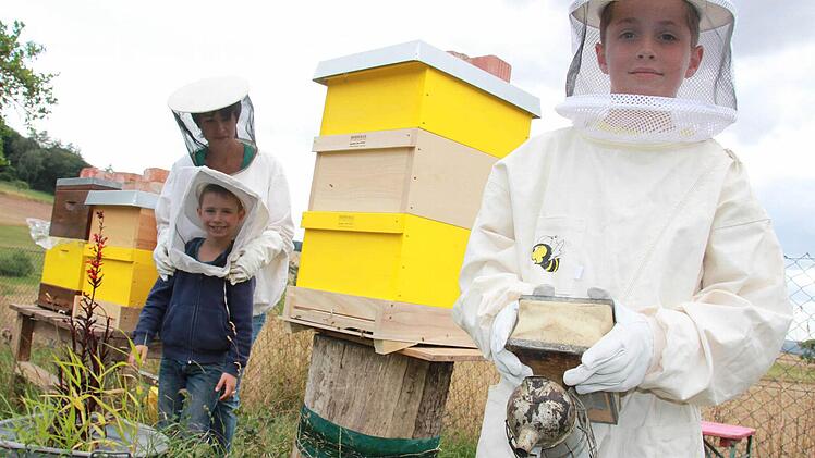 Julian Wehner aus Wartmannsroth weiß, was seine Bienen wollen. Durch einen Zufall hat der Neunjährige heute ein besonders süßes Hobby.  Foto: Carmen Schmitt