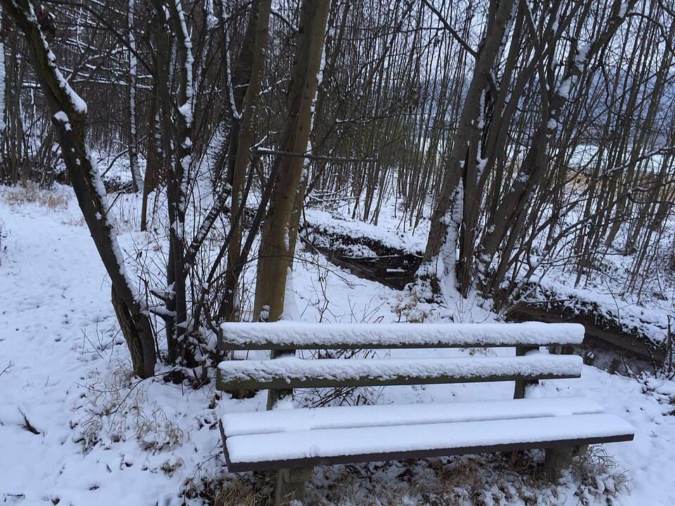 Schnee und Eis - Die schönsten Aufnahmen aus Franken