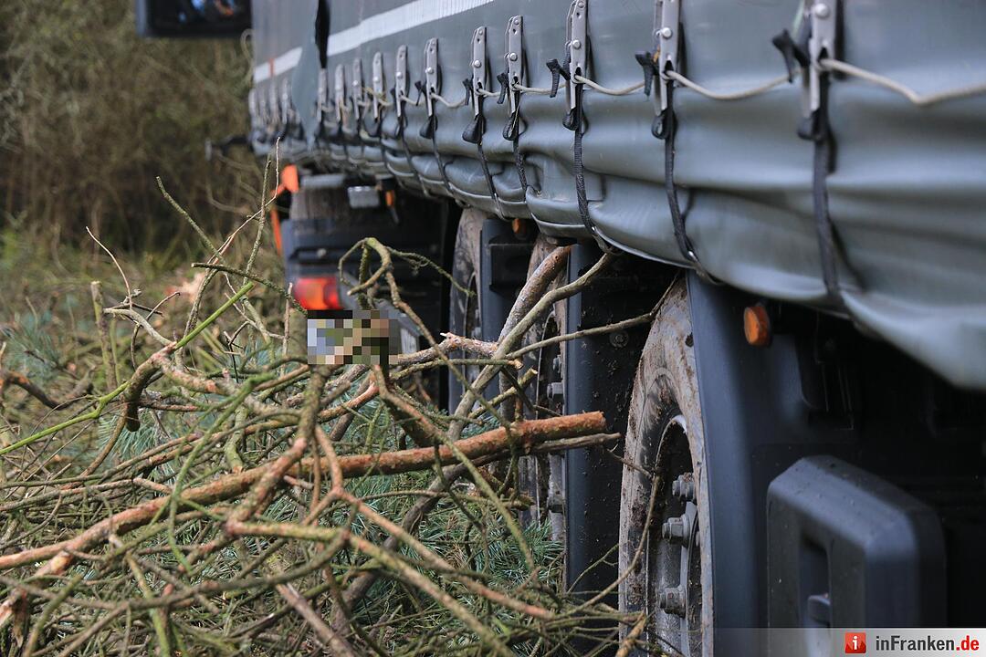 Lkw rast bei Gremsdorf ins Unterholz