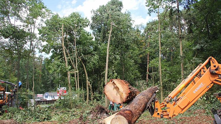 Foto: Gartenamt Bamberg