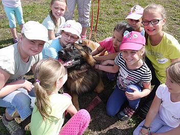 Der zweijährige Schäferhund Filou war der Star beim Forchheimer Hundetag. Fotos: Pauline Lindner