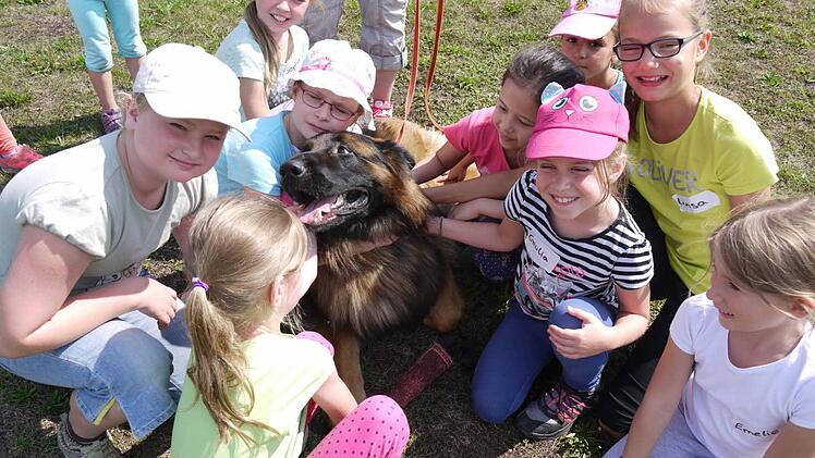 Der zweijährige Schäferhund Filou war der Star beim Forchheimer Hundetag. Fotos: Pauline Lindner