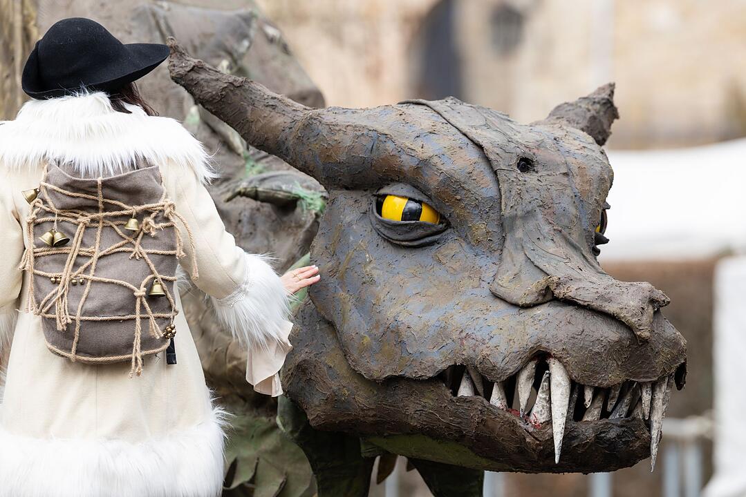 Mittelalterfest auf der Niederburg