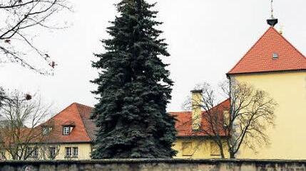 Im Klostergarten werden künftig Häuser stehen.