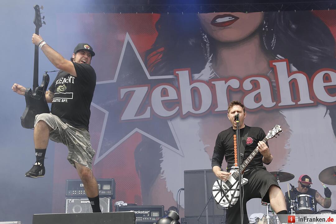 RIP15 - Zebrahead