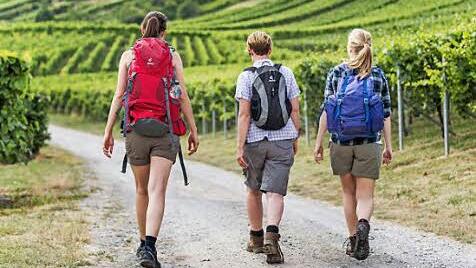 Über 500 Kilometer neu beschilderte Wanderwege bieten viele Möglichkeiten, die Ausflüge zu gestalten. Foto: djd/Touristikgemeinschaft HeilbronnerLand e.V.