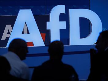 Bad Kissingen: Freia Lippold-Eggen tritt aus AfD aus