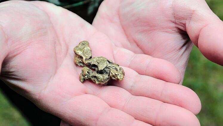 Der Traum aller Goldsucher: einmal einen solchen Brocken finden. Das passiert aber selten, in der Regel sind die Funde nicht größer als zwei bis drei Millimeter. Foto: Matthias Hoch