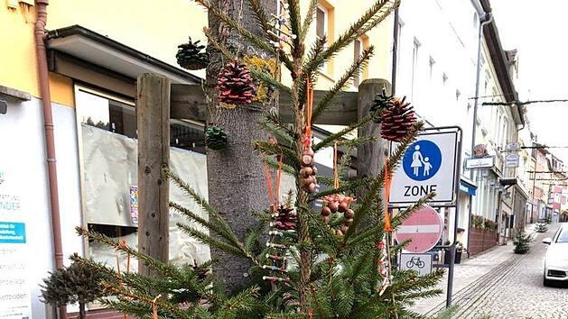 Im Dezember schm&uuml;ckten Helferinnen aus allen Bereichen viele B&auml;ume in der Ludwigstra&szlig;e. Foto: Heike Greenberg-Kremser