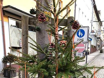 Im Dezember schmückten Helferinnen aus allen Bereichen viele Bäume in der Ludwigstraße. Foto: Heike Greenberg-Kremser