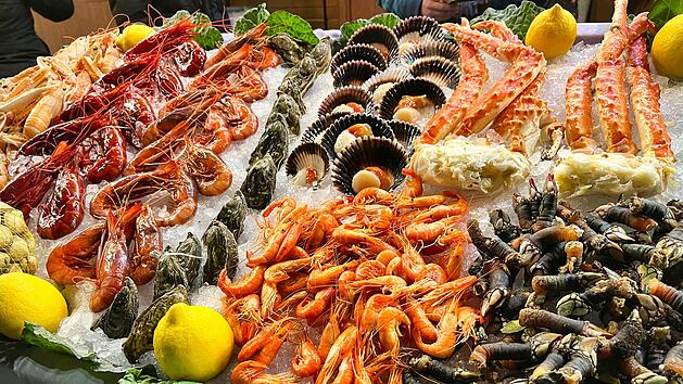 Vorsicht vor diesen Meeresfr&uuml;chten - zu hohe Antibiotika-Belastung