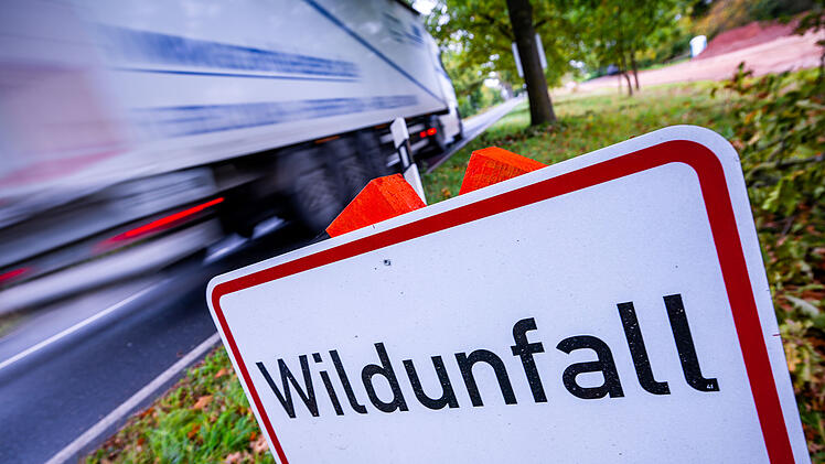 Wildunfall