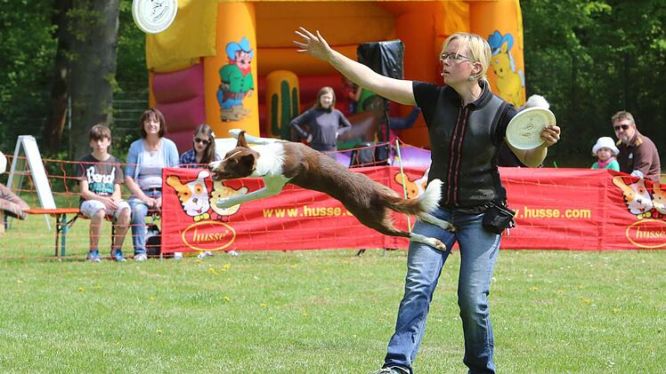 Die schweizer Hundetrainerin Alexandra Taetz beim Hunde-Frisbee mit Ayvar.