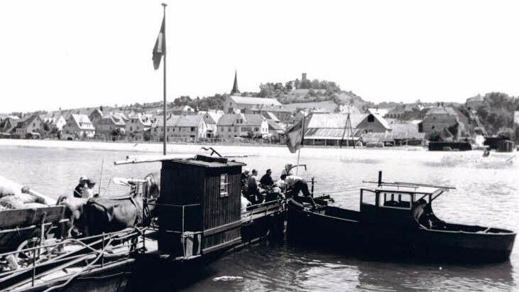 1950 wurden auf der Fähre bei Eltmann viele landwirtschaftliche Fahrzeuge, aber auch Vieh, transportiert. 1951 meldete der FT, dass die Anfahrtsstraße zur Mainfähre in zunehmendem Maße die Todesstraße für eine ganze Reihe von Gänsen geworden sei. "Es vergeht kein Tag, an dem nicht wenigsten eine Gans hier ihr Leben unter irgendeinem Fahrzeug aushaucht."  Fotos: Ludwig Leisentritt/Archiv