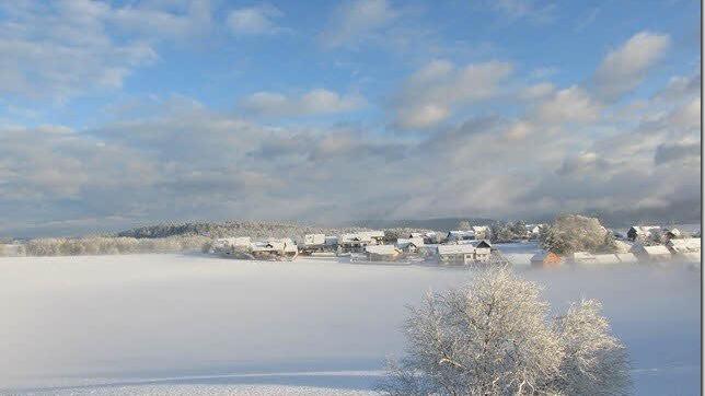 Winterimpressionen Foto: Roger Fröba