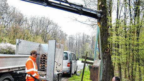 Bildstock steht wieder an seinem Platz