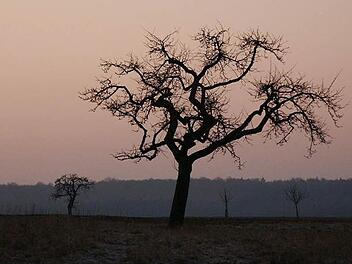 Das besondere Licht, das stimmungsvolle Momente zaubert, schätzt der Hobbyfotograf Ernst Muschallik. Foto: Ernst Muschallik
