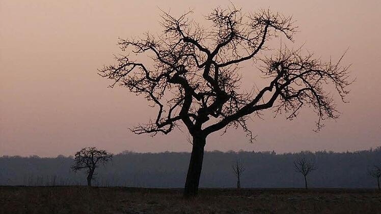 Das besondere Licht, das stimmungsvolle Momente zaubert, schätzt der Hobbyfotograf Ernst Muschallik. Foto: Ernst Muschallik