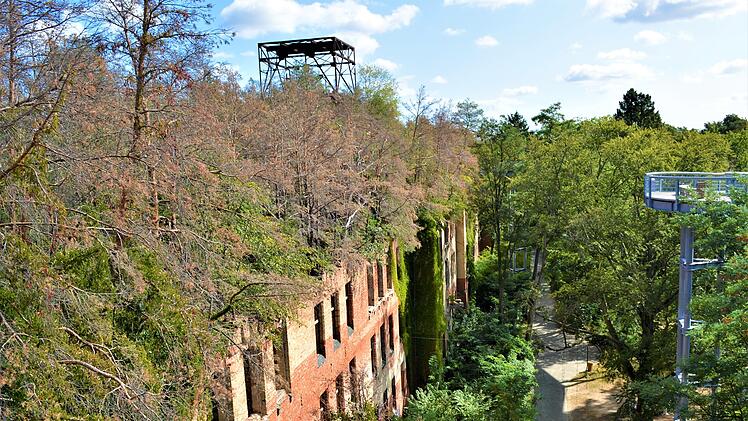 Beelitz-Heilst&auml;tten Baumwipfelpfad Baumkronenpfad Brandenburg Berlin Lost Place Ruinen Heilst&auml;tte Sanatorium Krankenhaus Backstein Architektur Waldkulisse H&ouml;he Aussicht Steg Panorama Verfall Ruinenlandschaft Geschichte Milit&auml;rhospital Fotospot Atmosph&auml;re Stille G&auml;nsehaut Unheimlich Dark Tourism Horror Reiseziele Europa Gruselige Orte Spaziergang Ausflug Natur Urban Exploration Reise Inspiration