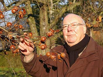 Er nascht von Bäumen, die viele gar nicht mehr kennen. Die Mispeln in seinem Garten seien jetzt erst, nachdem sie vom ersten Frost überzogen waren, richtig lecker.  Fotos: Tom Müller