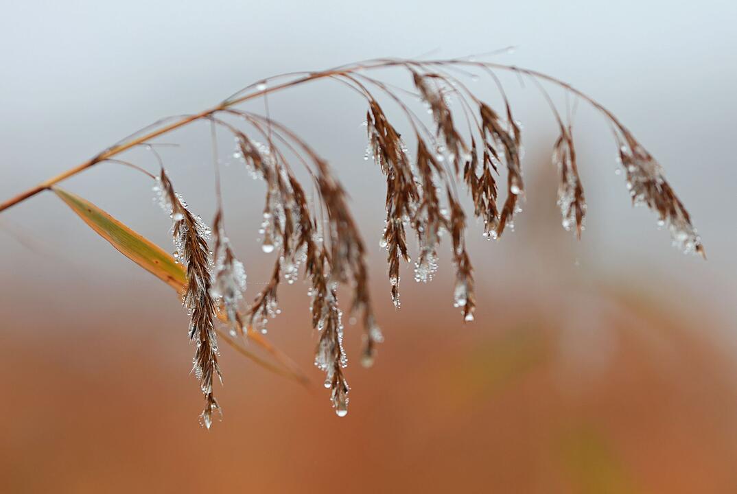 Herbst in Sachsen-Anhalt