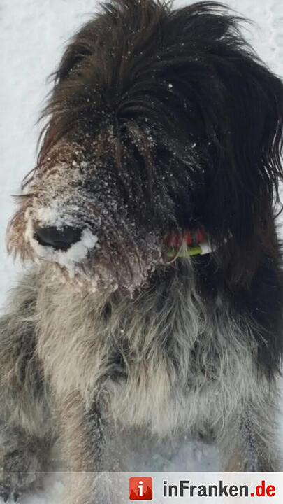 Eis und Schnee in Franken - die schönsten Winterleserfotos