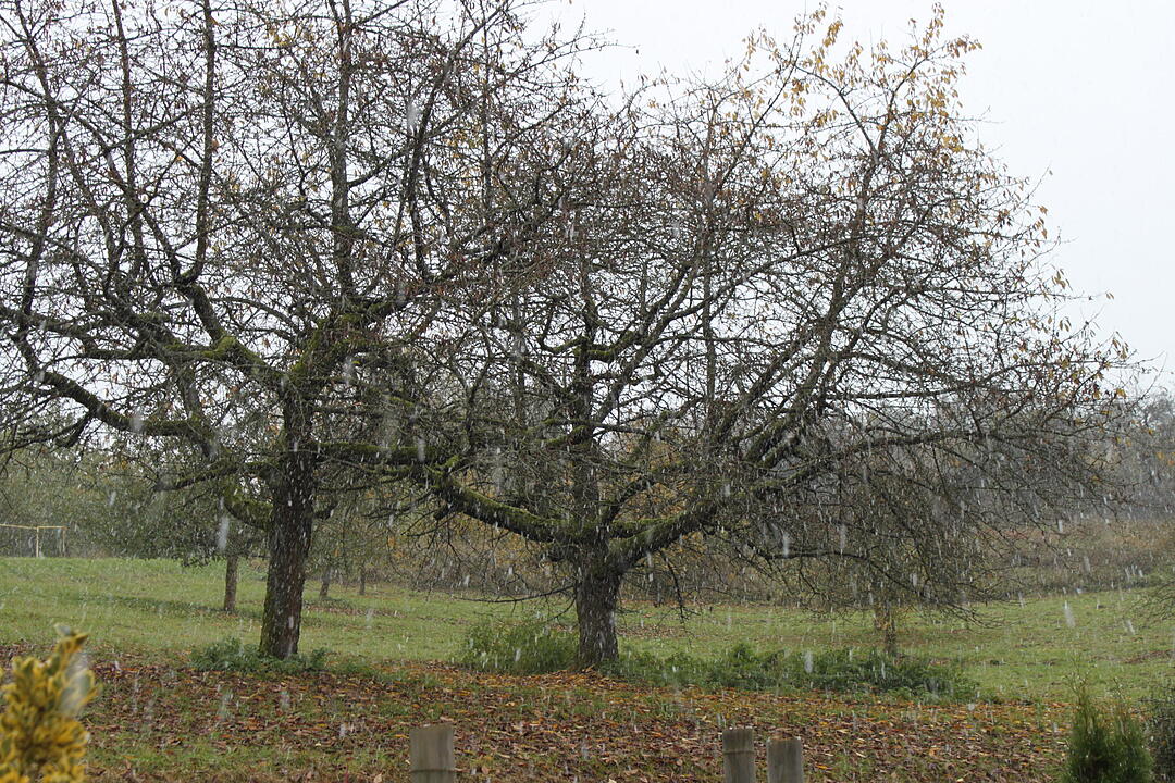 Erster Schnee in Oberfranken