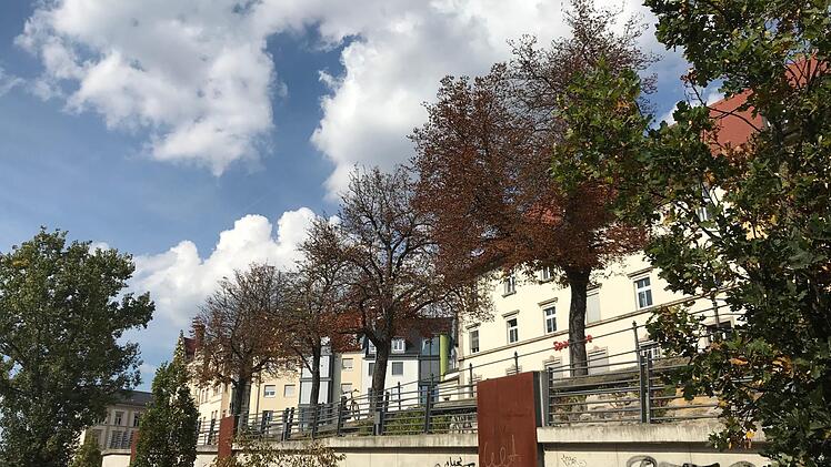 Keine vier Monate ist es her: In Bamberg herrschte gespenstische Trockenheit.  Foto: M. Wehner